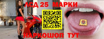 индика Кингисепп