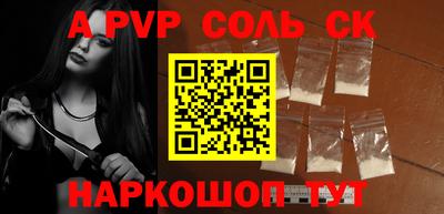 индика Кингисепп