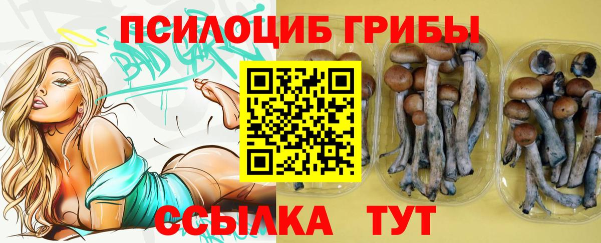 Щёлково  Галлюциногенные грибы ЛСД  Вход с VPN 